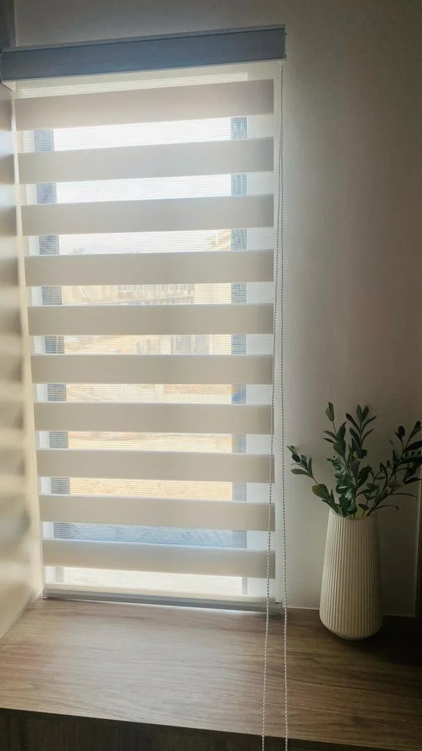 White zebra blinds